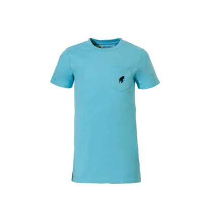 Grizzly Laval T-shirt turquoise